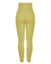 Snatch BAQ Leggings